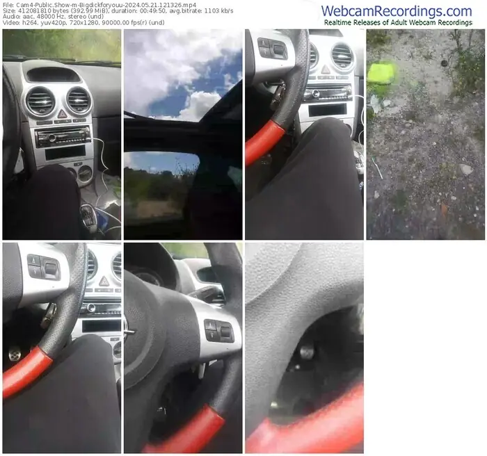 cam4-bigdickforyouu-05-21-2024-12-13-26