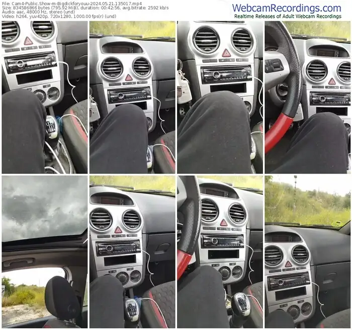 cam4-bigdickforyouu-05-21-2024-13-50-17