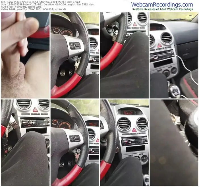 cam4-bigdickforyouu-05-21-2024-17-03-17