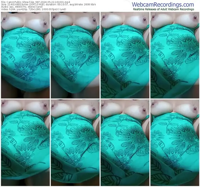 cam4-ap_987-05-22-2024-16-10-01