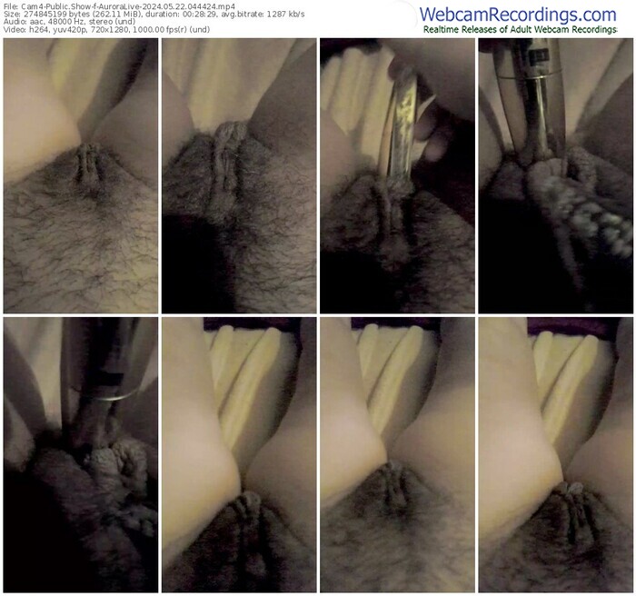 cam4-auroralive-05-22-2024-04-44-24