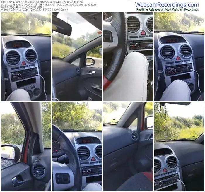 cam4-bigdickforyouu-05-22-2024-06-48-30