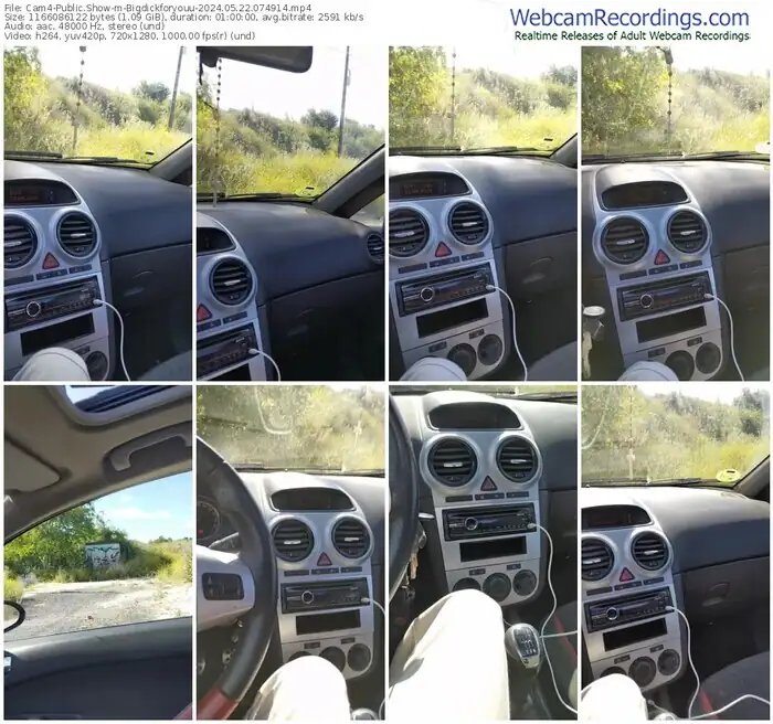 cam4-bigdickforyouu-05-22-2024-07-49-14