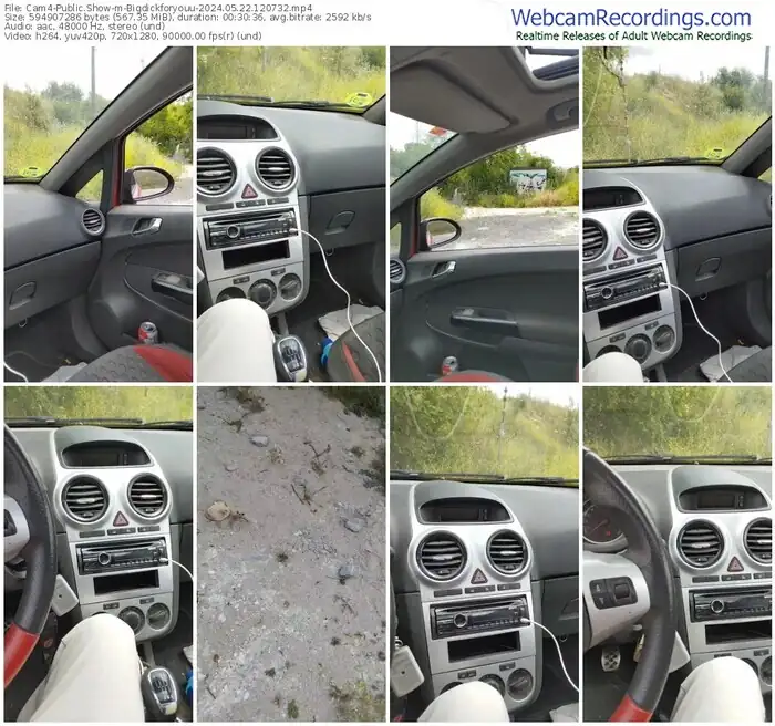 cam4-bigdickforyouu-05-22-2024-12-07-32