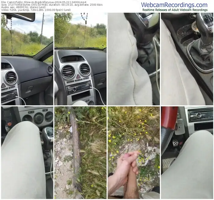 cam4-bigdickforyouu-05-22-2024-13-43-06