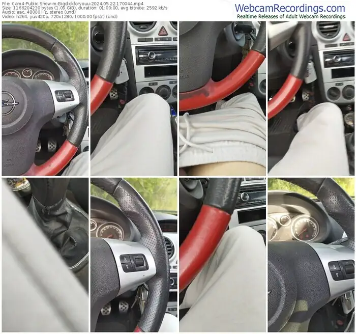 cam4-bigdickforyouu-05-22-2024-17-00-44