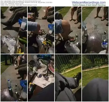 cam4-pollen_07-05-22-2024-19-17-41