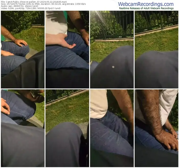 cam4-pollen_07-05-22-2024-20-18-35