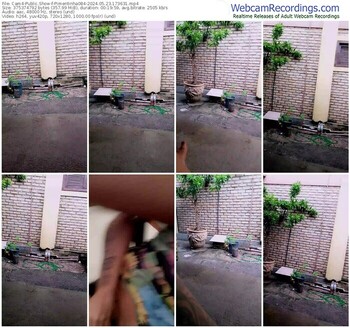 cam4-pimentinha084-05-23-2024-17-36-31