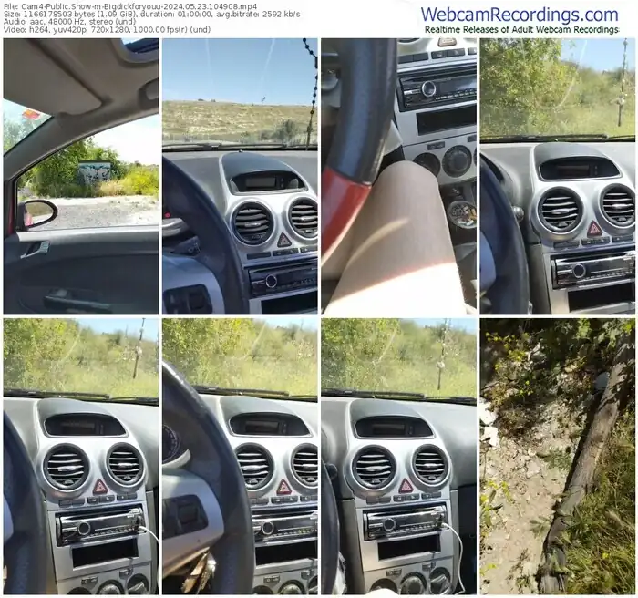 cam4-bigdickforyouu-05-23-2024-10-49-08