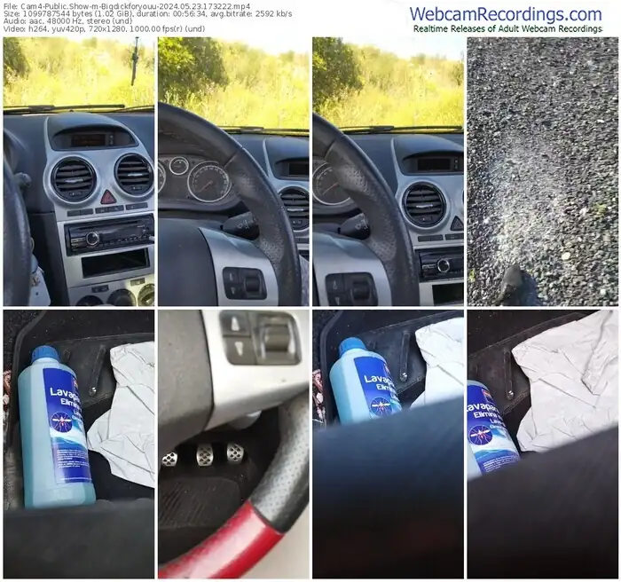 cam4-bigdickforyouu-05-23-2024-17-32-22