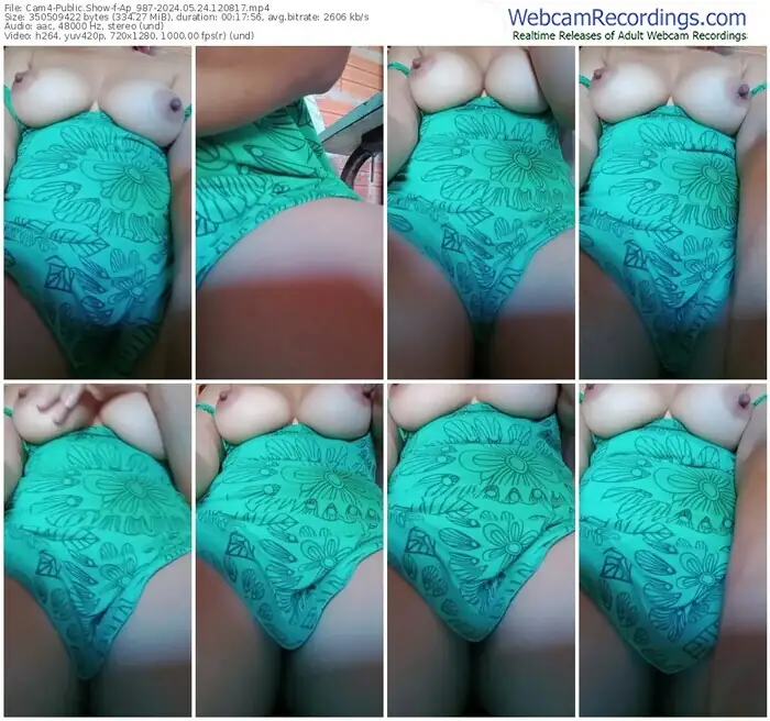 cam4-ap_987-05-24-2024-12-08-17