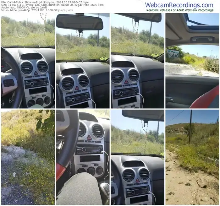 cam4-bigdickforyouu-05-24-2024-09-04-07