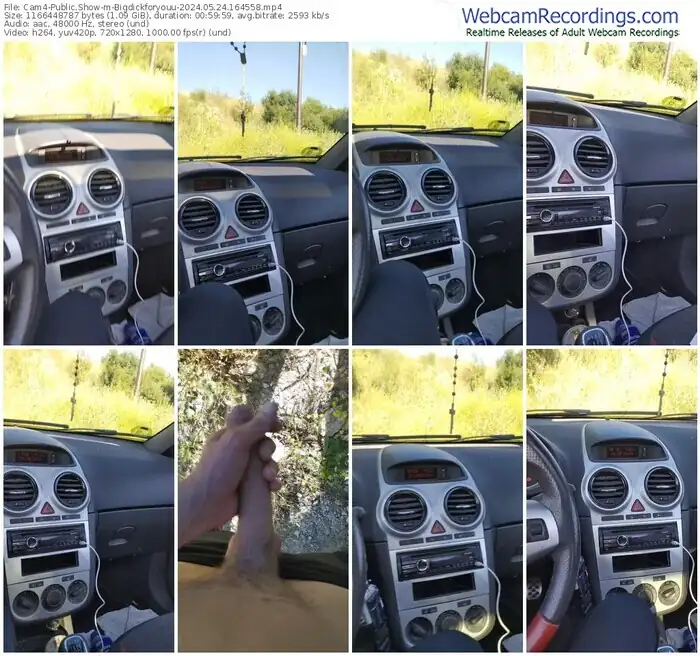 cam4-bigdickforyouu-05-24-2024-16-45-58