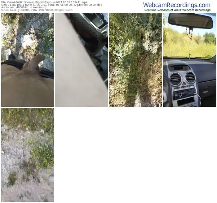 cam4-bigdickforyouu-05-27-2024-15-34-41