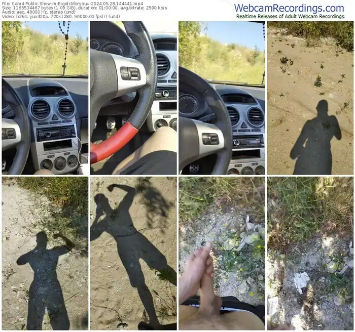 cam4-bigdickforyouu-05-28-2024-14-44-41