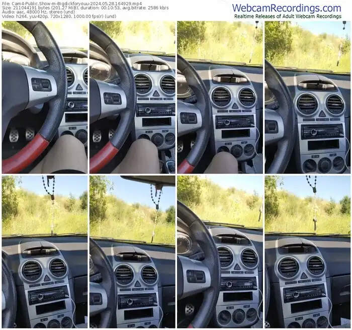 cam4-bigdickforyouu-05-28-2024-16-49-29