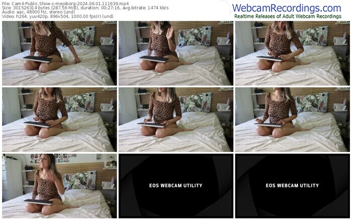 cam4-mejoborg-06-01-2024-11-16-39
