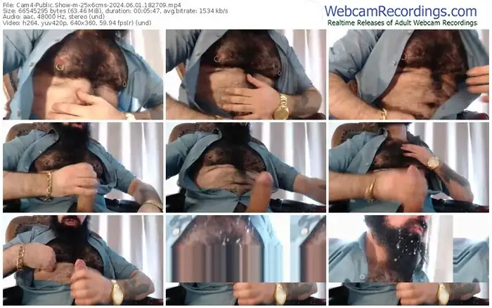 cam4-25x6cms-06-01-2024-18-27-09