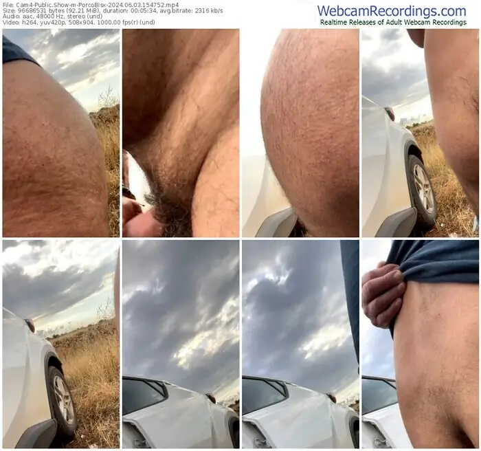 cam4-porcobisx-06-03-2024-15-47-52