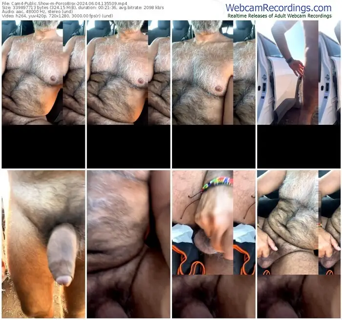 cam4-porcobisx-06-04-2024-13-55-09