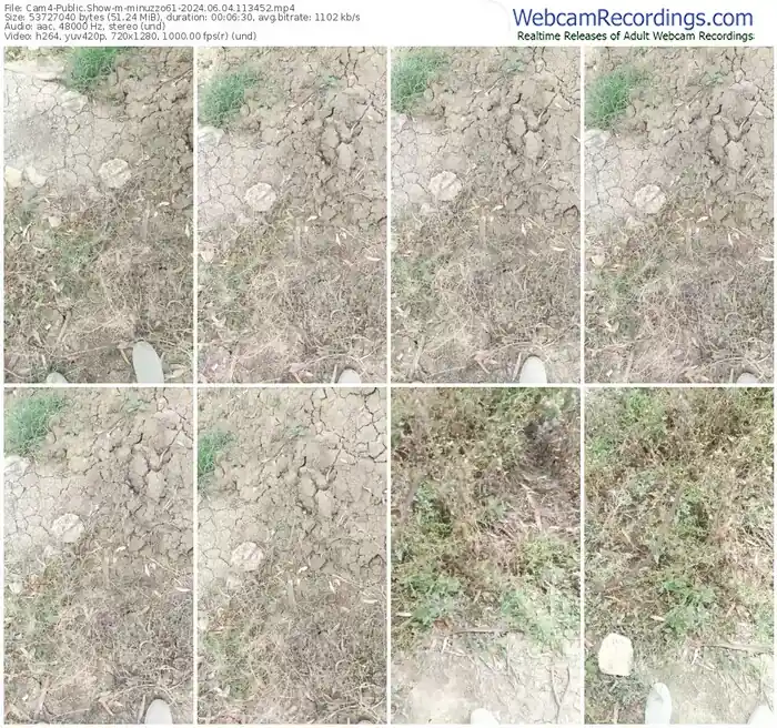 cam4-minuzzo61-06-04-2024-11-34-52