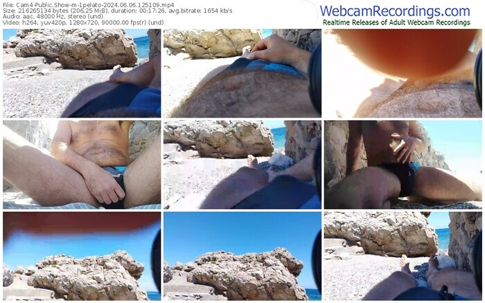 cam4-1pelato-06-06-2024-12-51-09