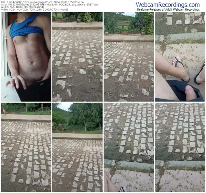 cam4-magrogostoso1-06-08-2024-19-50-03