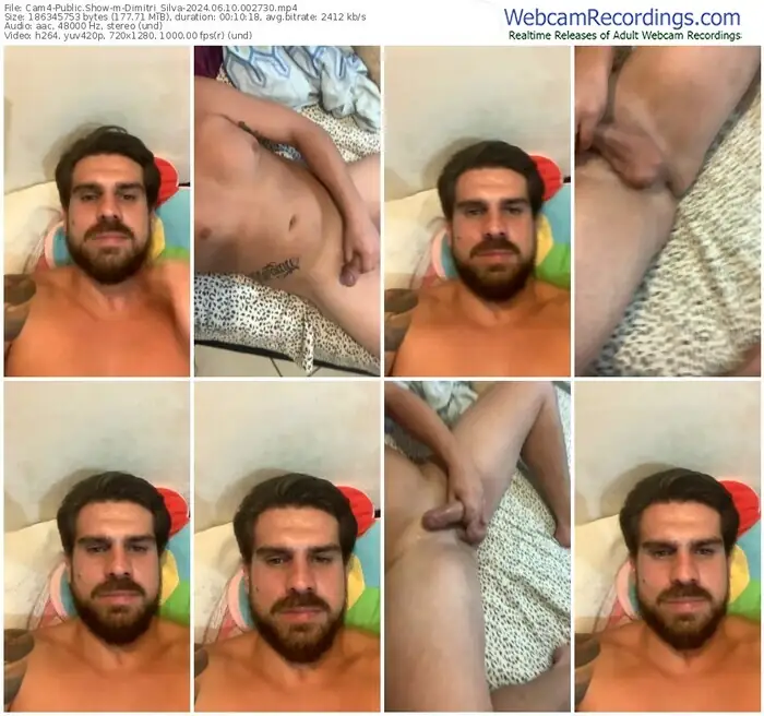 cam4-dimitri_silva-06-10-2024-00-27-30