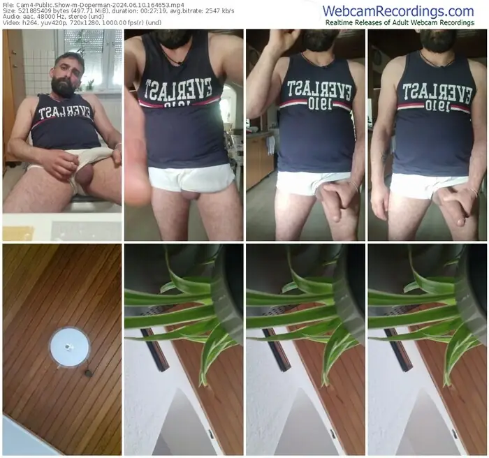 cam4-doperman-06-10-2024-16-46-53