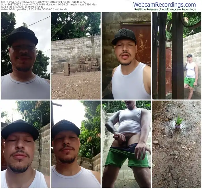 cam4-pelahkweedman-06-10-2024-13-40-41