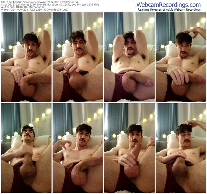 cam4-penisavoir-06-10-2024-21-39-55