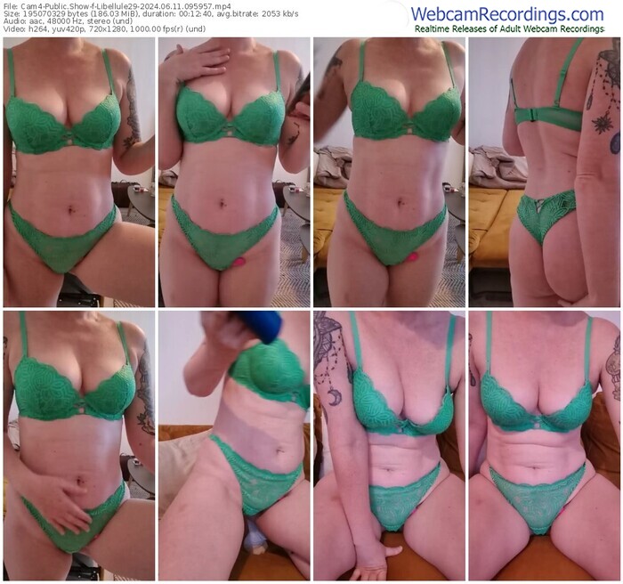 cam4-libellule29-06-11-2024-09-59-57