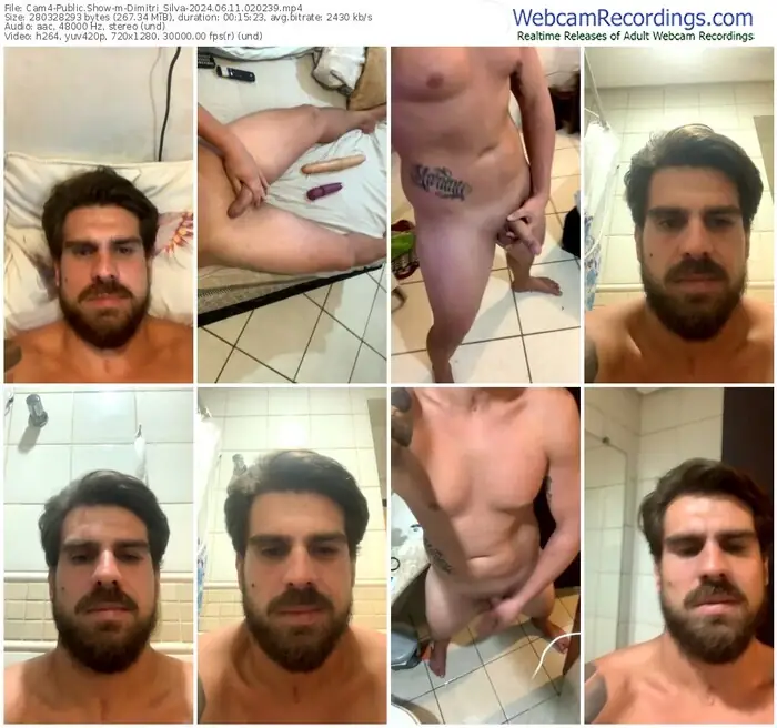 cam4-dimitri_silva-06-11-2024-02-02-39