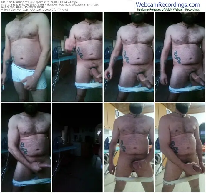 cam4-doperman-06-11-2024-19-46-41