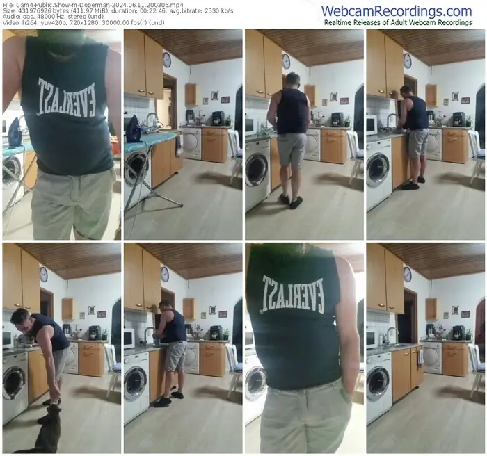 cam4-doperman-06-11-2024-20-03-06