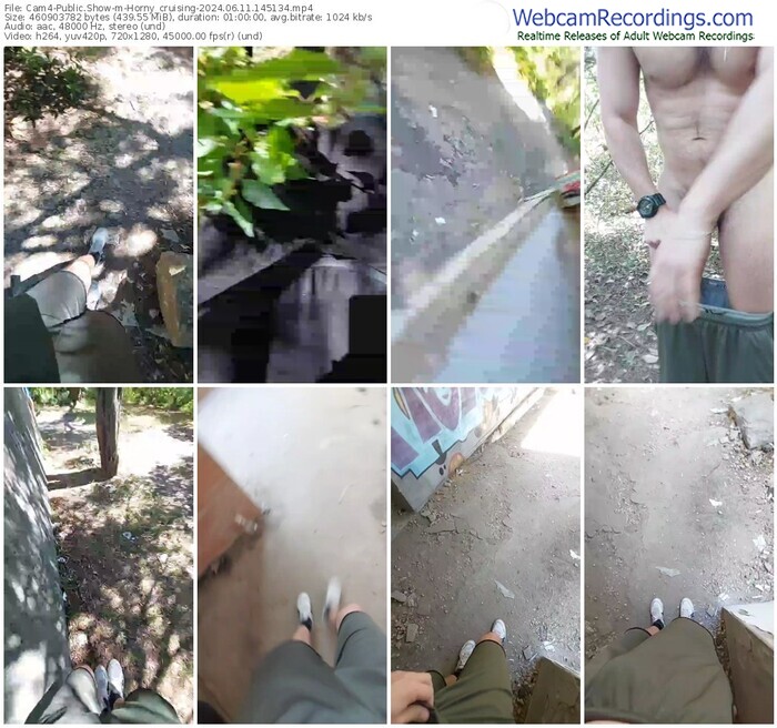 cam4-horny_cruising-06-11-2024-14-51-34