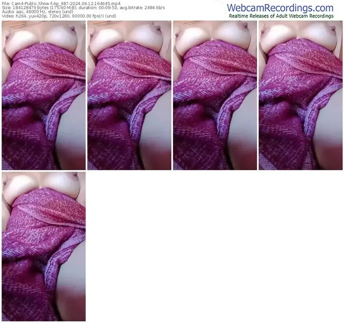 cam4-ap_987-06-12-2024-16-46-45