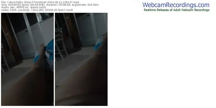 cam4-timidonat-06-12-2024-23-51-27