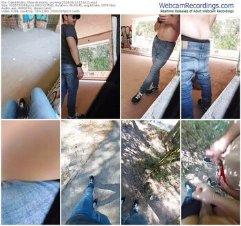 cam4-horny_cruising-06-12-2024-15-32-21