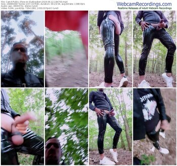 cam4-slutboyben-06-12-2024-18-47-03