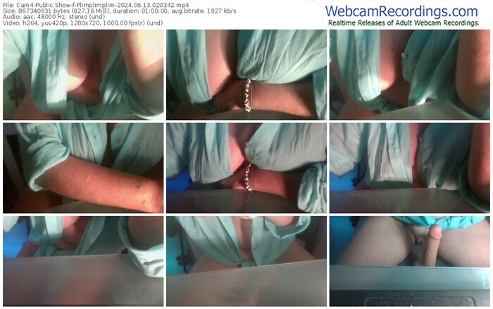 cam4-plimplimplim-06-13-2024-02-03-42