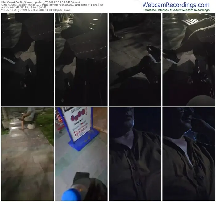 cam4-pollen_07-06-13-2024-19-42-36