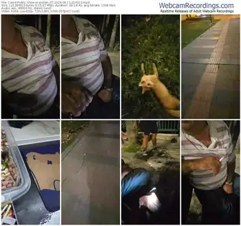 cam4-pollen_07-06-13-2024-21-42-10