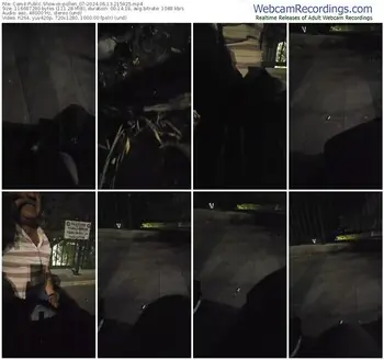 cam4-pollen_07-06-13-2024-21-59-25