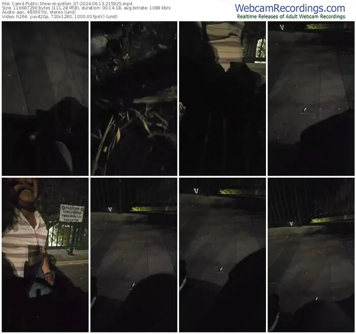 cam4-pollen_07-06-13-2024-21-59-25