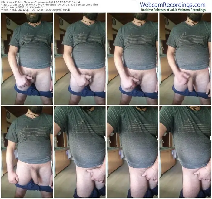 cam4-doperman-06-15-2024-16-37-16