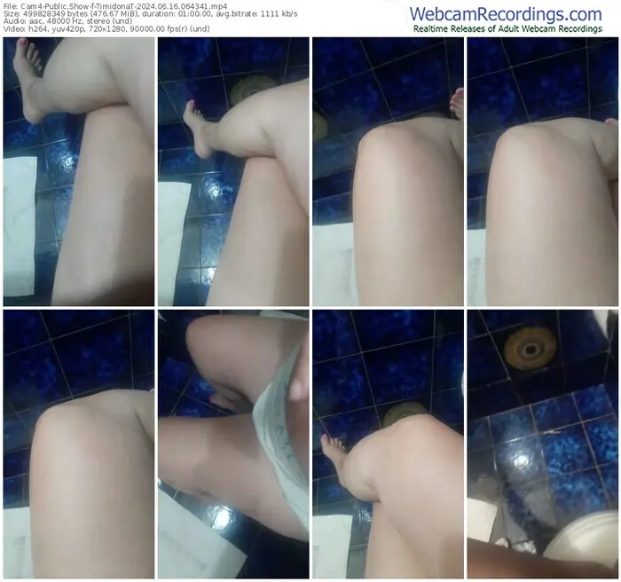 cam4-timidonat-06-16-2024-06-43-41