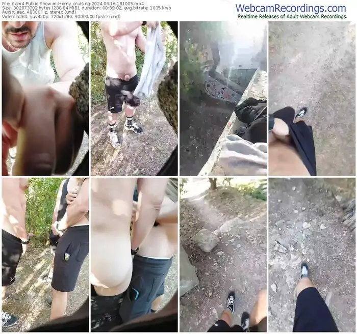 cam4-horny_cruising-06-16-2024-18-10-05