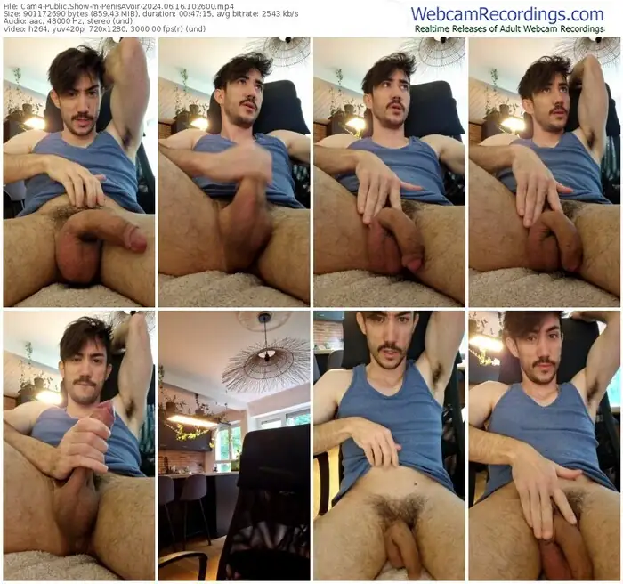 cam4-penisavoir-06-16-2024-10-26-00